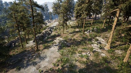 GustusForest